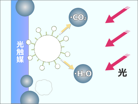 光触媒２